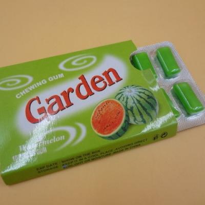 Das crianças longas da pastilha elástica da pastilha elástica do PNF da forma do jardim OEM saboroso disponível