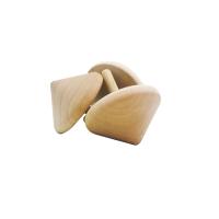 Jouet en bois pour enfants unisexe gyroscope éducatif