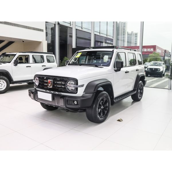 Танк 300 2024 2.0T Танк внедорожник Автомобиль Conqueror Белый автомобиль на топливе