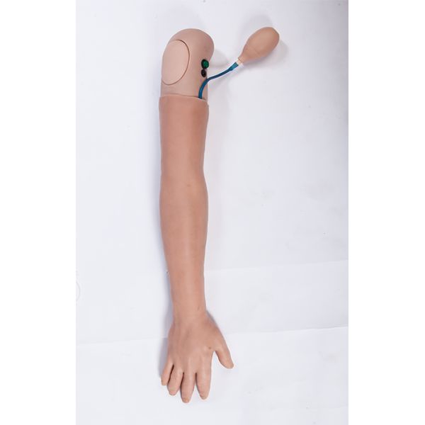 Advanced PVC Simulated human hemodialysis Arm Training Model