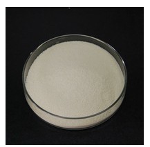 Pyridoxine Hydrochloride