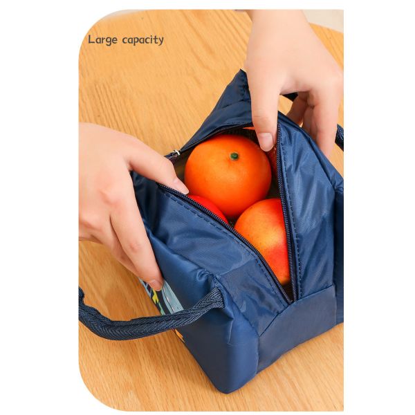 Portable Insulated Lunch Bag For Women Cooler Bag Kids lunch Box with Customized Color