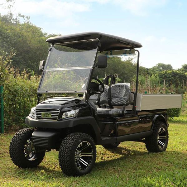 Electric Lifted Utility Golf Car Housekeeping Tool Car with Aluminum Box