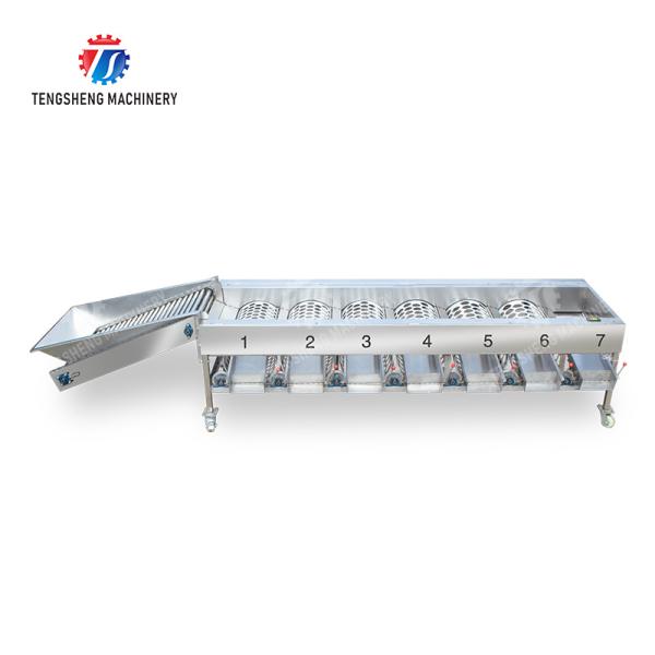 Processing Production Inspecting Grading Fruit Vegetable Onions Saiko persimmon Apple Potato tangerine passion fruit avocado cherry Mango pear banana mangosteen kiwi fruit Fruit Sorting Machine