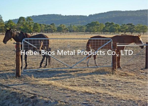 1.2M Height I Stay Farm Mesh Fencing Gate with 5mm Wire Diameter For Livestock