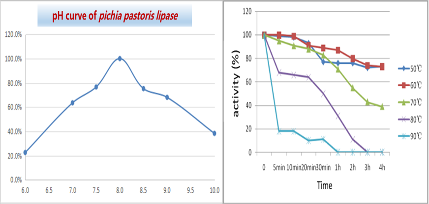 Порошок оптимальное PH8.0 энзима липазы ранга питания SunLipase p