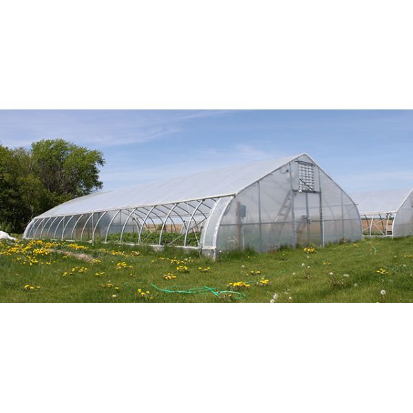 Serre chaude de pellicule de polyéthylène de feuille de plastique de serre chaude de l'agriculture 8m de tunnel