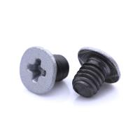 Cabeza de obleas para relojes electrónicos pequeños tornillos de reparación de relojes M2.5 3mm Cruz de pintura