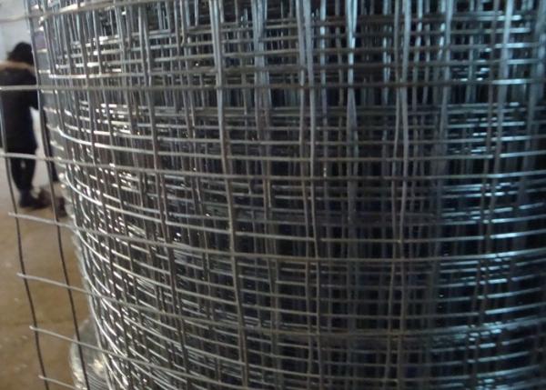 Easily Assembled Welded Wire Mesh Panels Square Hole For Greenhouse Bed Nets