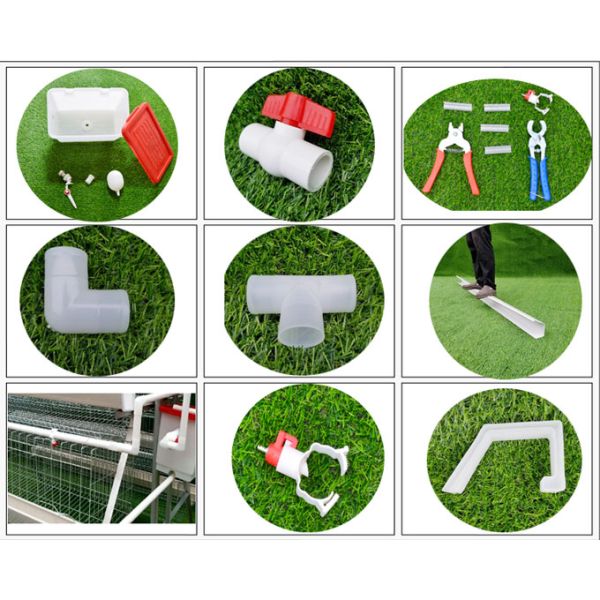 Auto camada galvanizada quente bebendo Hen Cages do sistema