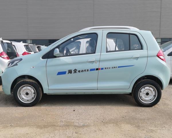 Raysince hot sales model new energy electric car 5 door 4 Seat electric saloon cars from china