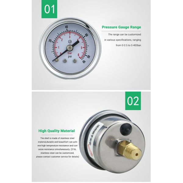 41.5mm Back Mounted Pressure Gauge for Water and Gas Applications in Biogas Systems