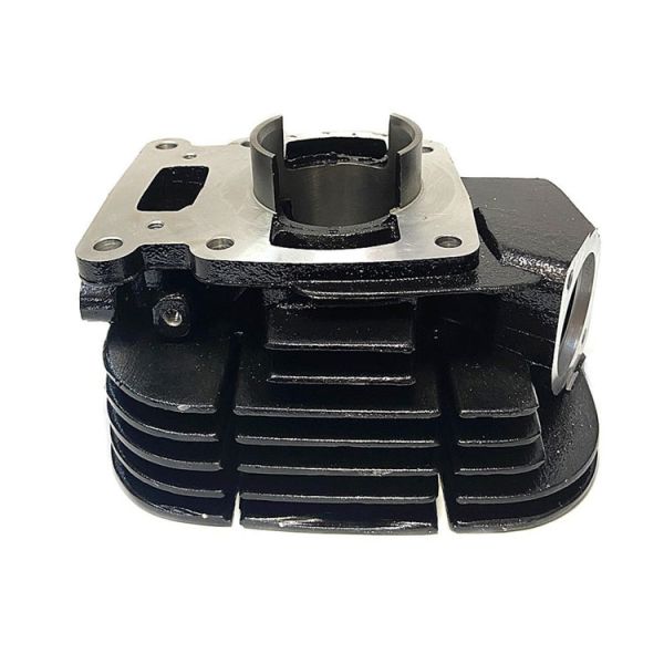 Replace/Repair Purpose Cylinder Head for Yamaha TS 125 Motorcycle Parts and Accessories