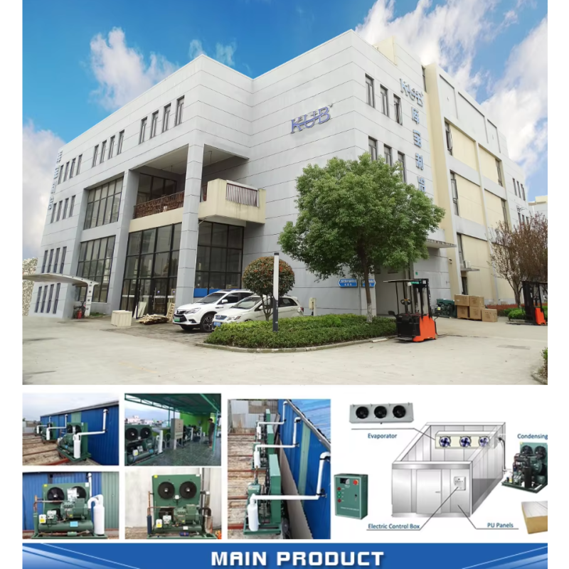 TAG2522ZBR Commercial 6HP Refrigeration Unit Air Cooled R404 Refrigerant Cold Storage Condensing Units
