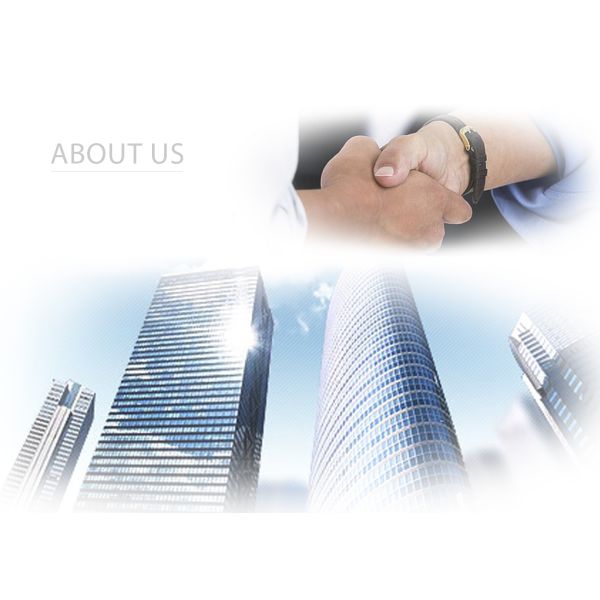 TANGSON DEVELOPMENT CO., LIMITED