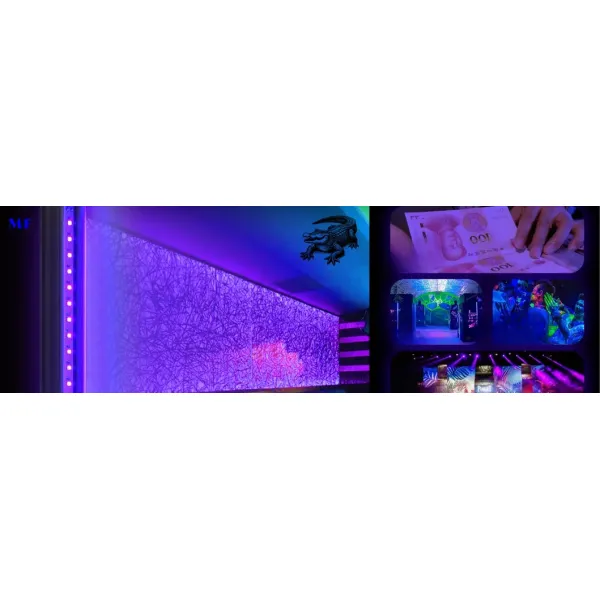 10W 20W 30W 50W UV395nm 365nm 405nm IP65 Black White Flood Tube Light LED UV Money Checking Curing Full Spectrum Ultraviolet Entertainment Party Light