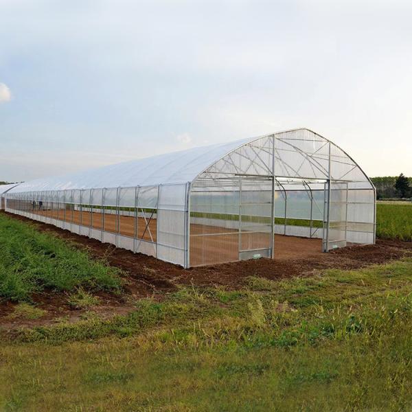 Serre chaude en plastique de technologie de grande taille poly/serre chaude simple agricole d'envergure