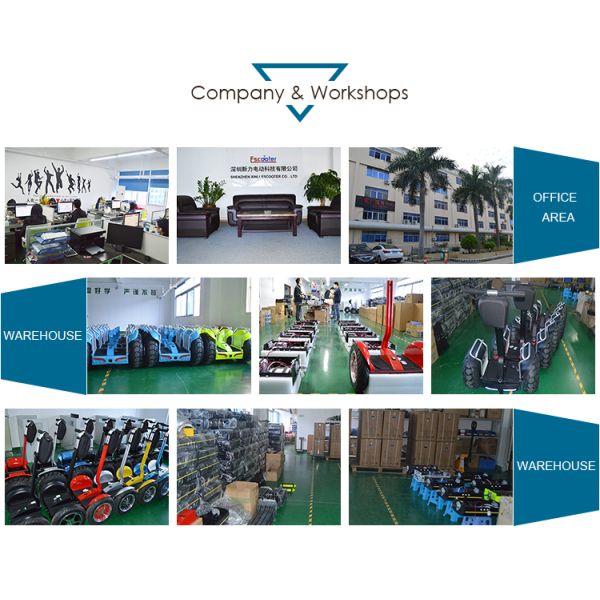 60V 12Ah Motorcycle Two Wheel Scooter Electric Citycoco Removable Battery E5-10