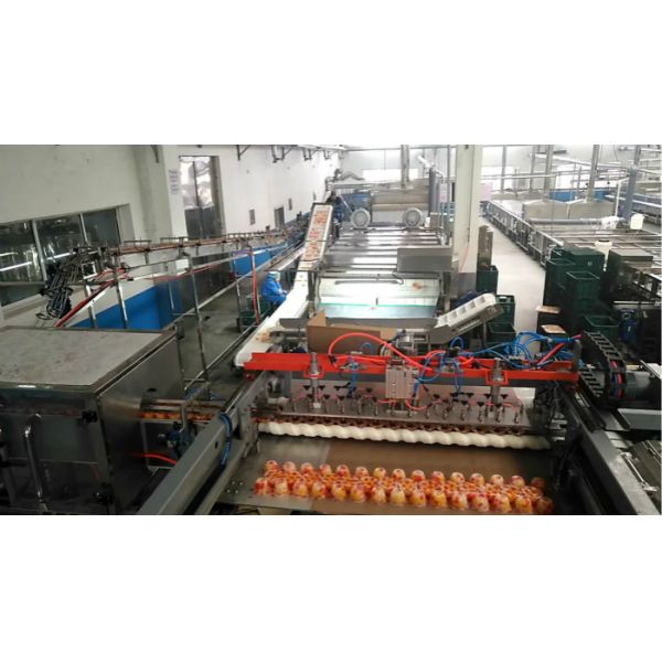 Full Can Automatic Palletizer Machine , Container Palletizing Systems ISO Marked