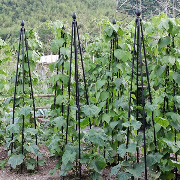 Garden Trellis for Potted Plants Outdoor Rustproof Coated Plant Cage Tower, Metal Shelf Climbing Supporting