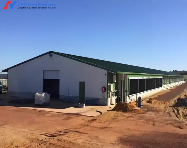 Galvanized Steel Poultry House with Cage Feeding System for Layers & Broilers