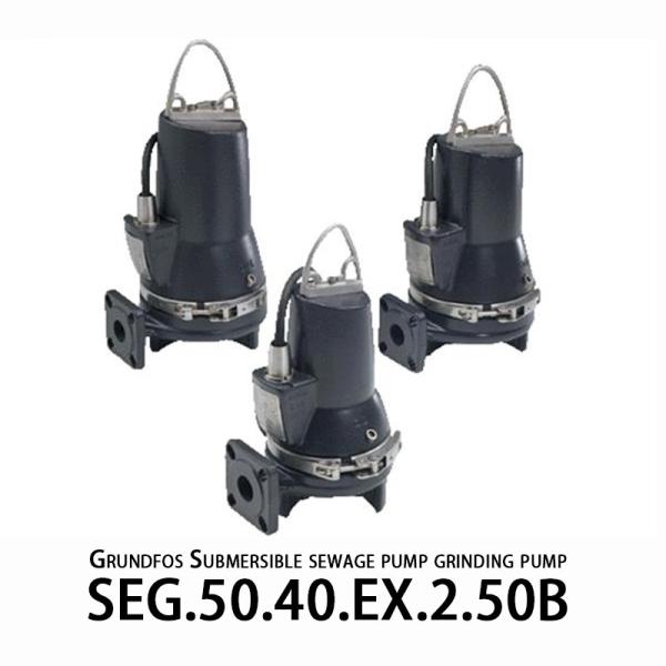 グランドフォス SEG 磨きポンプ 洗浄用 単段式遠心ポンプ