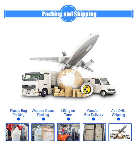 Double Servo High-efficiency Hydraulic Steel Sheet Metal Press Brake CNC Plate Bending Bender Machine