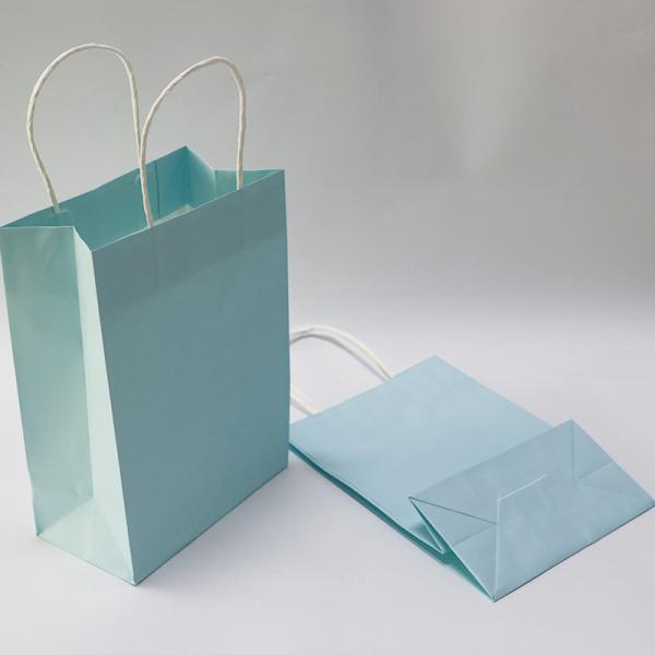 28*22*28cm Printed Paper Carrier Bags