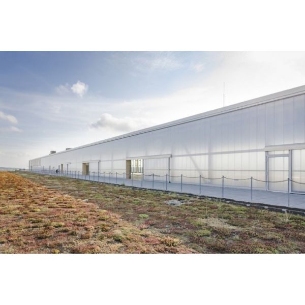 Anti UV Polycarbonate Sheets for Roof And Awning Wall and Greenhouse Building Materials Ensuring Long Term Protection