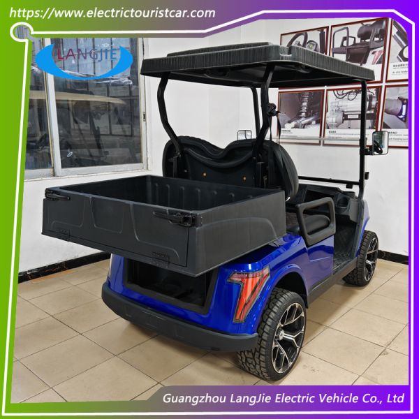 2-местные электрические патрульные машины безопасности с 2-мя зеркалами заднего вида