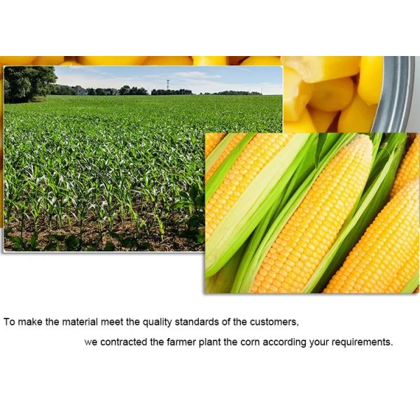 Yellow Canned Sweet Corn In Water Canned Food Corn Kernel In Brine