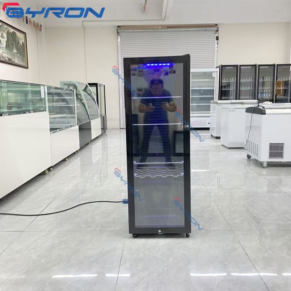 Customized Logo Mini Beverage Refrigerator Freestanding For Home & Office