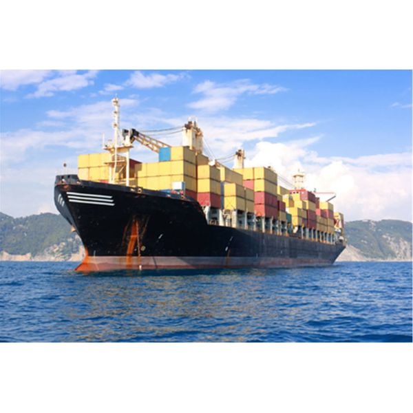 Professional DDU DDP Shipping Sea Freight Forwarder Service To USA Canada