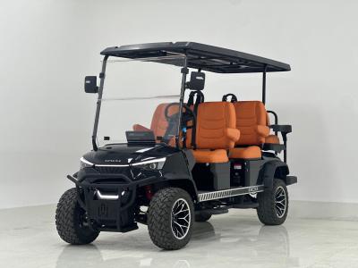 F11 4+2	6300W 6-Seater Golf Cart