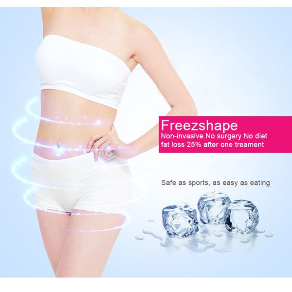 Weight Loss Equipment / Cryolipolysis Slimming Machine For Beauty Salon