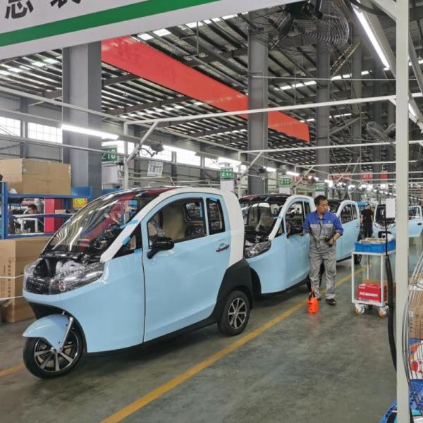 Raysince latest model enclosed electric tricycle China top sales 3 wheel electric car for adults