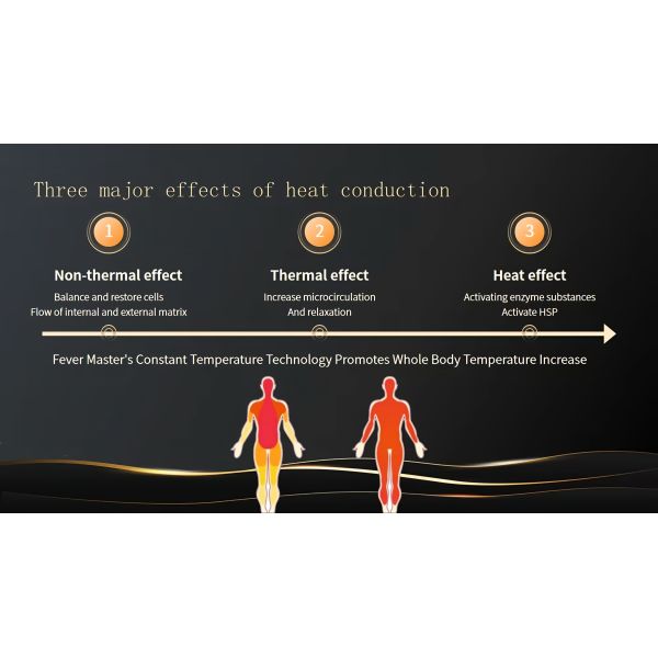 Deep Tissue Tecar Therapy Machine 448KHz Body Contouring RF Machine For Body Shaping