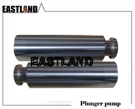 Gardner Denver GD2500 Triplex  Plunger Pump Plunger Valve and Seat and Packing