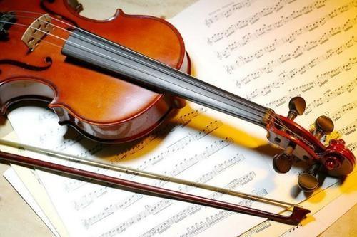 professional handmade master solo violin 1/4-4/4 The High Grade Handmade Oil Painting Violin Asia Constansa Instrument