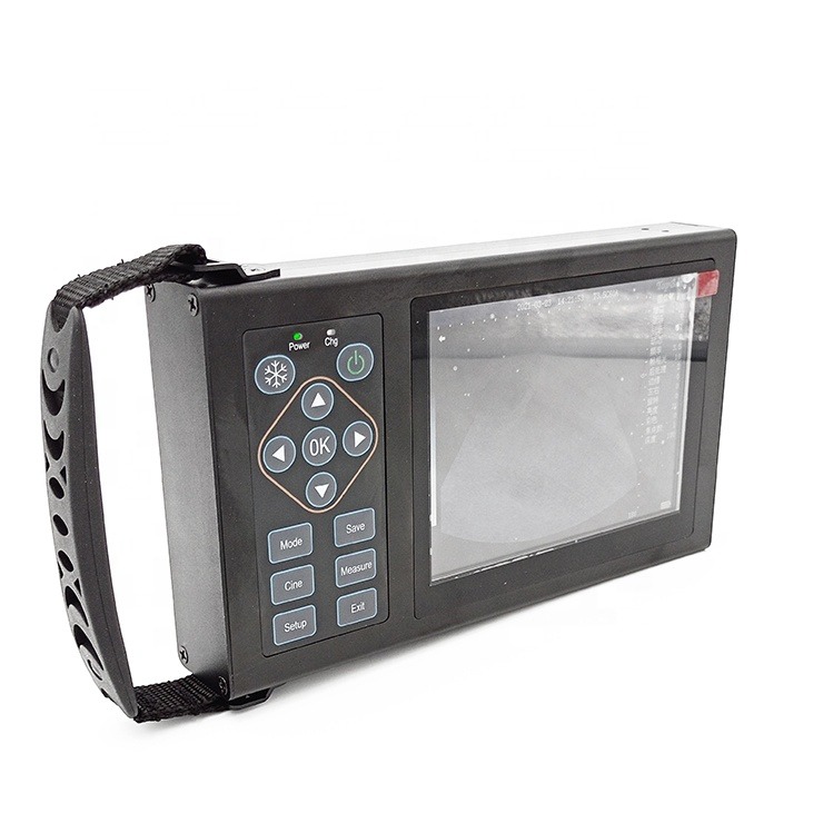 B Veterinary Ultrasound Canine Horse Pigs Scare Pregnancy Animals Mobile Device Vet Digital Handheld Veterinary Ultrasound