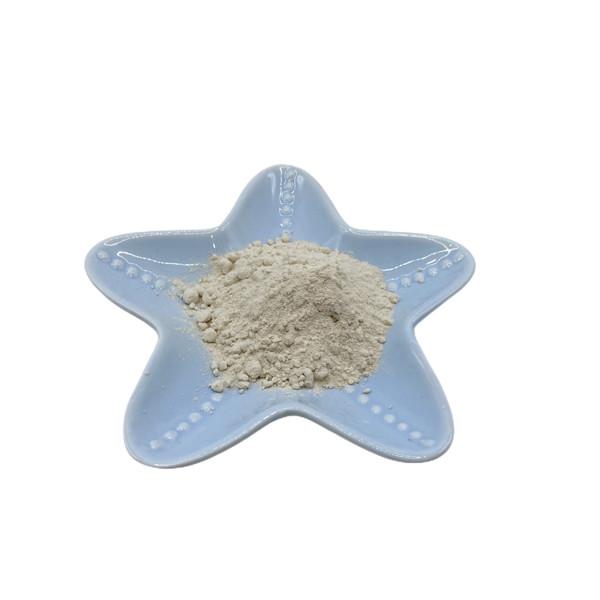 Off White Amino Acid Chelate Calcium 10% Nitrogen Bio Organic Fertilizer