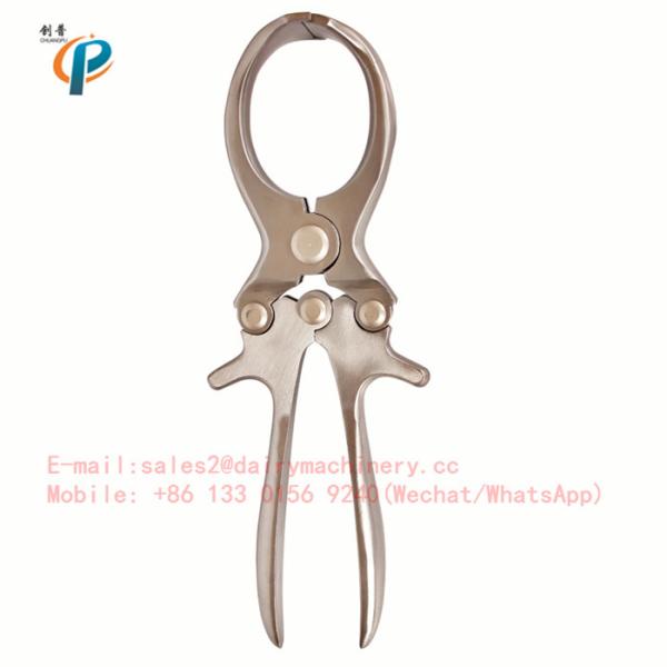 Stainless Steel Bloodless Castrator for Livestock Pig Castrating Forceps Quick and Effective