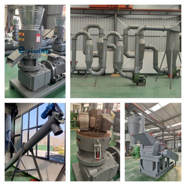 Pelletizer à bois Rise Husk Coco Shell Serre-poussière Pellets Mill Biomasse Pellets ligne de production