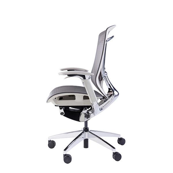 IFIT Black Ergonomic Desk Chair With Lumbar Support Adjustable Tilting Mesh Swivel
