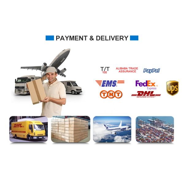 Cisco Catalyst 9500 Switch with 40x10G Ports 128 Gbps Capacity and Stackable Functionality