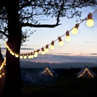 IP44 Waterproof Commercial Outdoor LED Festoon Lights IP65 24V 1w Heavy Duty