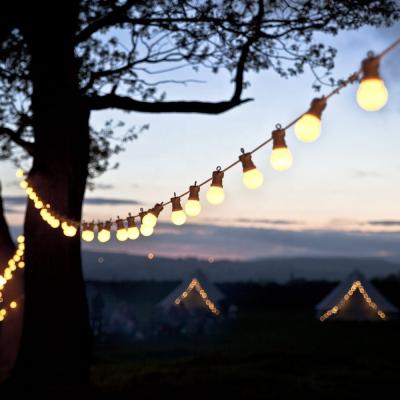 IP44 Waterproof Commercial Outdoor LED Festoon Lights IP65 24V 1w Heavy Duty