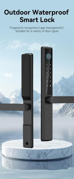 Qleung S960 Digital Glass Door Lock With Fingerprint Recognition Password Card Key Phone APP