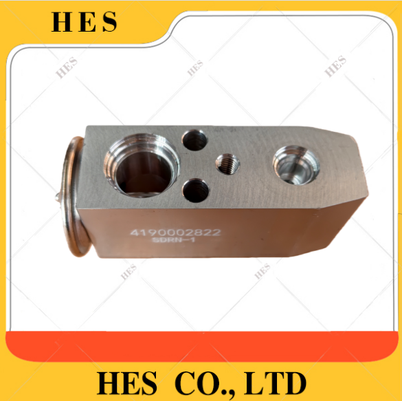 4190002822  AC  VALVE 