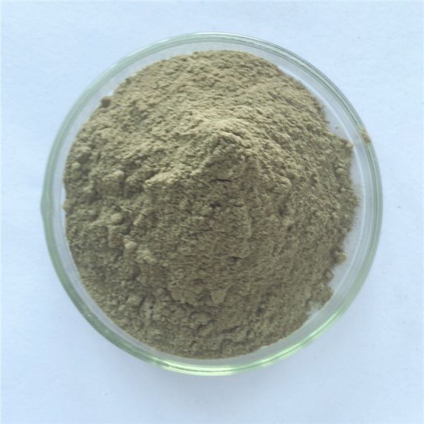 wholesale anti cancer chlorella vulgaris extract for capsules